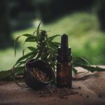 Wellness von innen: Wie hochwertige CBD-Öle die Balance in Körper und Geist unterstützen