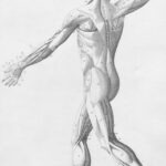 Die Praxiswahl in Dachau: Worauf Patienten bei der Suche nach qualifizierter Osteopathie achten sollten