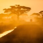 Warum die Reiseplanung nach Afrika anspruchsvoller ist und warum ein erfahrener Anbieter entscheidend ist